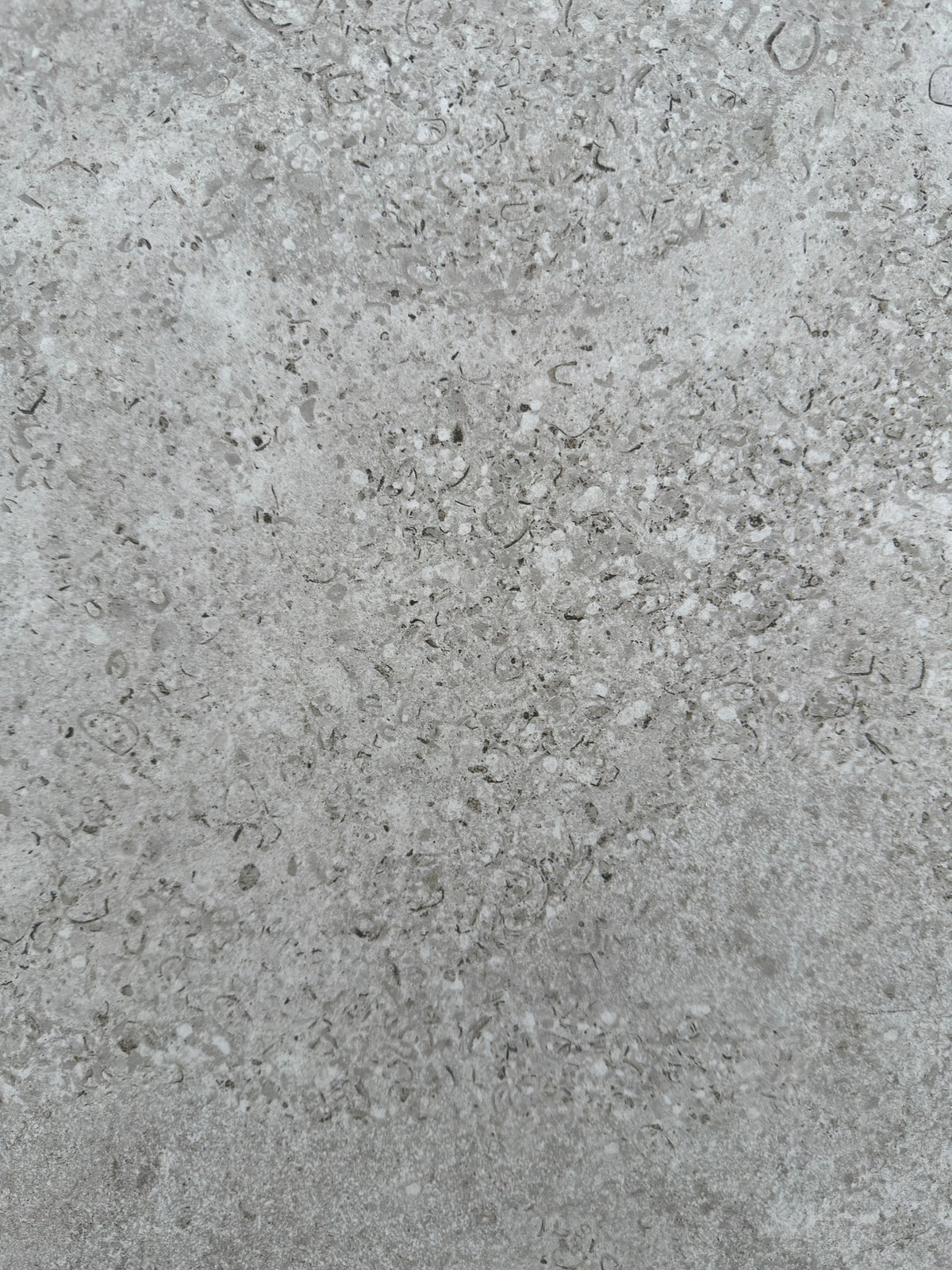 ENMON FOSSIL STONE GREIGE
