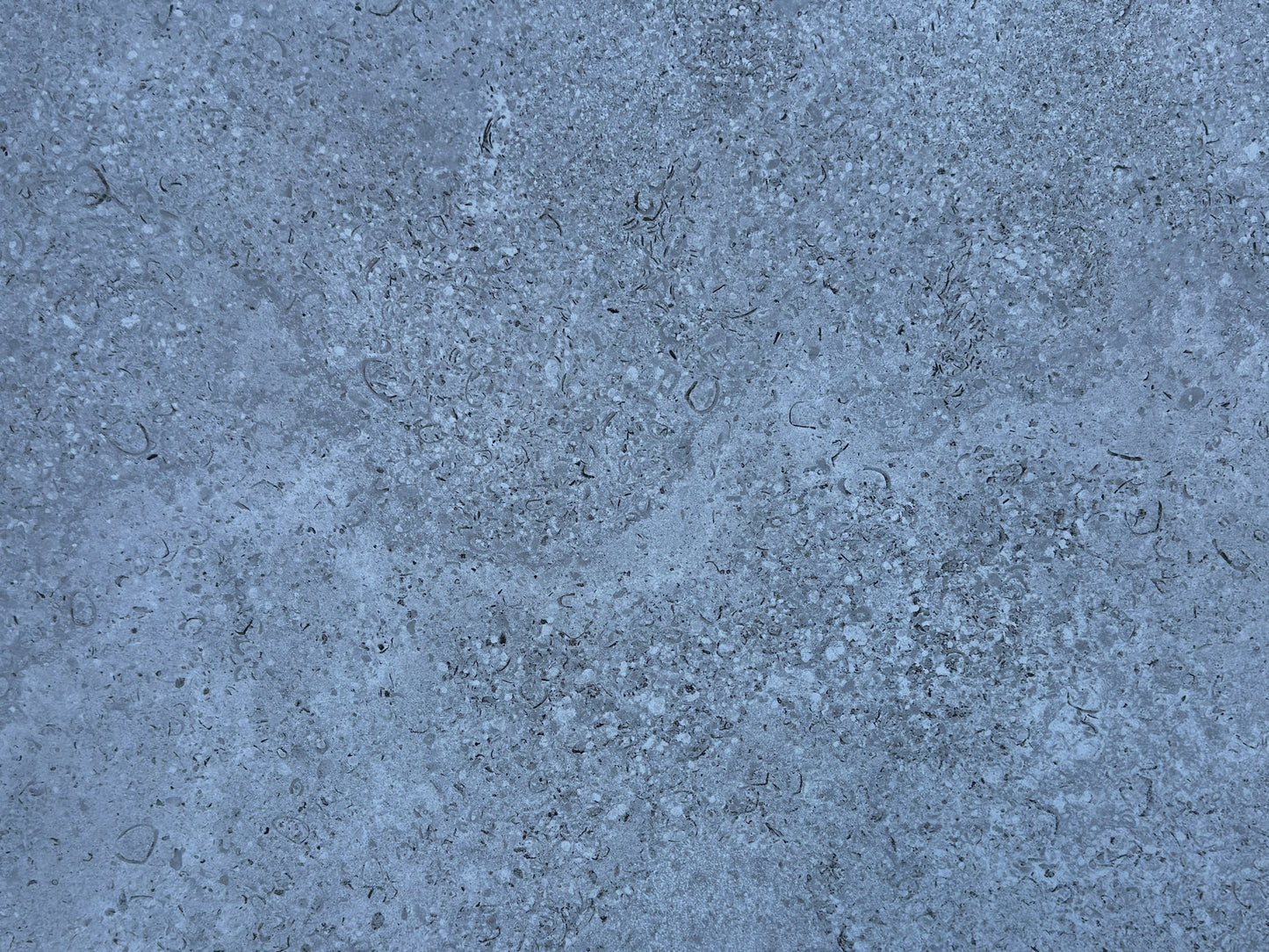 ENMON FOSSIL STONE GREIGE