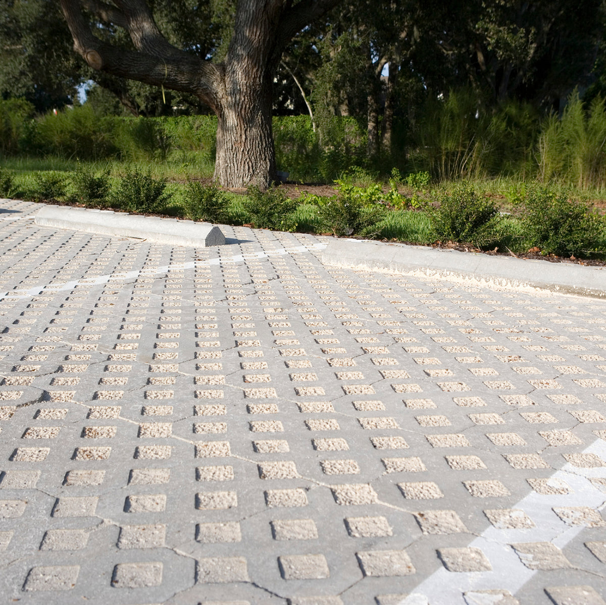 Turfstone Sizes BELGARD - TURFSTONE SLAB – Bricks n Blocks